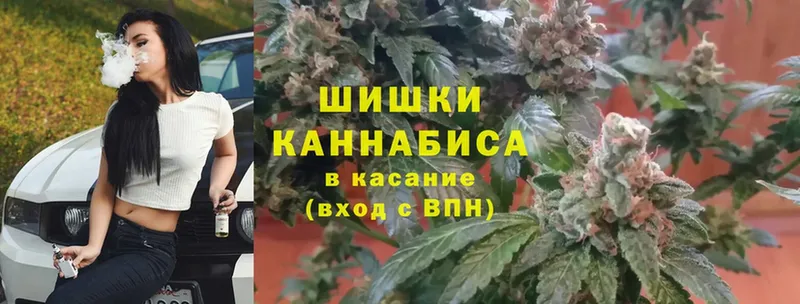 ссылка на мегу как войти  Новозыбков  Шишки марихуана Ganja  наркотики 